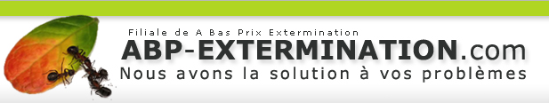 Extermination Chateauguay