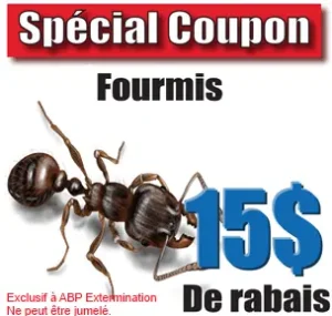 coupon-extermination-fourmis