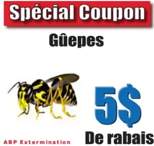 coupon-extermination-guepes