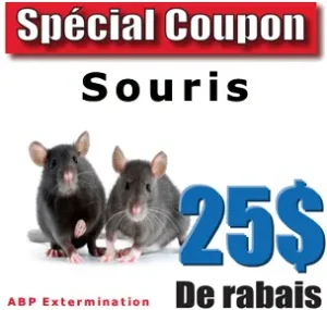 coupon-extermination-souris